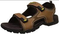 Weinbrenner Men's Arizona Sandals @389
(good ratings)