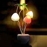 Masroom Night LED Lamp (1 left)