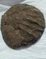 10 pcs cow dung at 16 ( Pooja material) 