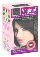 Vegetal Bio Colour, Burgundy, 150g