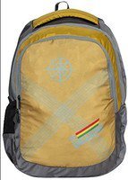 Devagabond 25 Ltrs Gold School Backpack @276.Apply 40% Coupon.(masterlink)