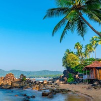 Get 60% off on All Treebo Hotel Bookings 